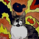 chat
