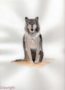 loup