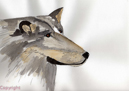 loup