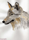 loup