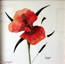 coquelicot