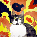 chat