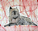 chien