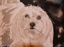 chien