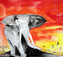 elephan