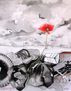coquelicot