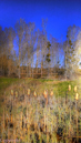 paysage