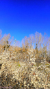 paysage