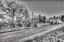 paysage