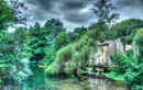 paysage